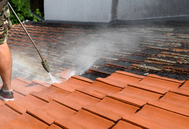 Best Deck Cleaning Services  in Cibolo, TX