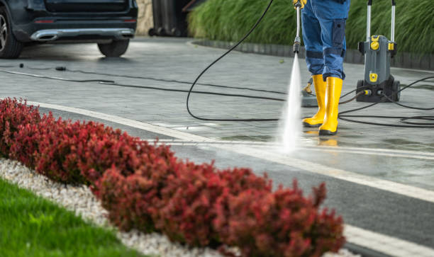 Best Pressure Washing Brick  in Cibolo, TX